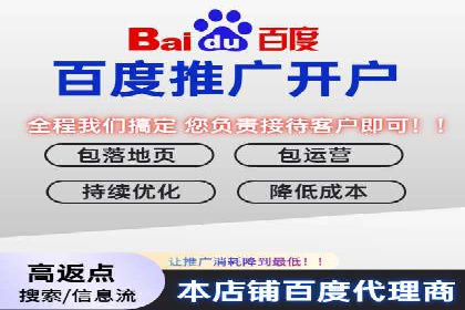 专业SEM托管如何助力电商行业增长？——案例分析